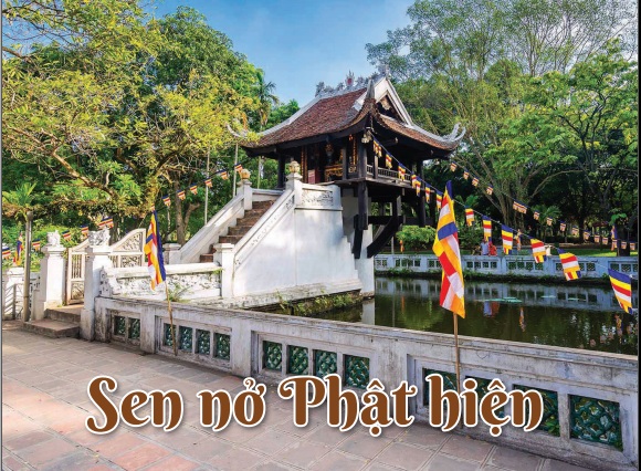 Sen nở Phật hiện