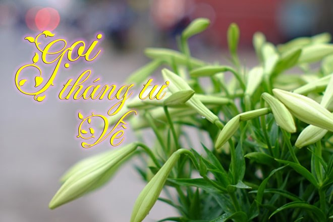 THÁNG TƯ CẢM THÁN