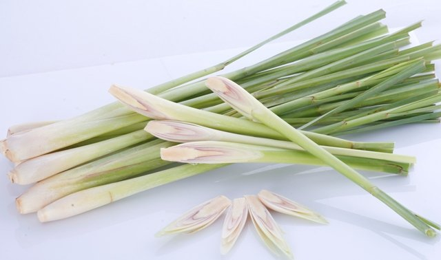 Uống nước cây sả tươi làm cho tế bào ung thư tự tiêu hủy