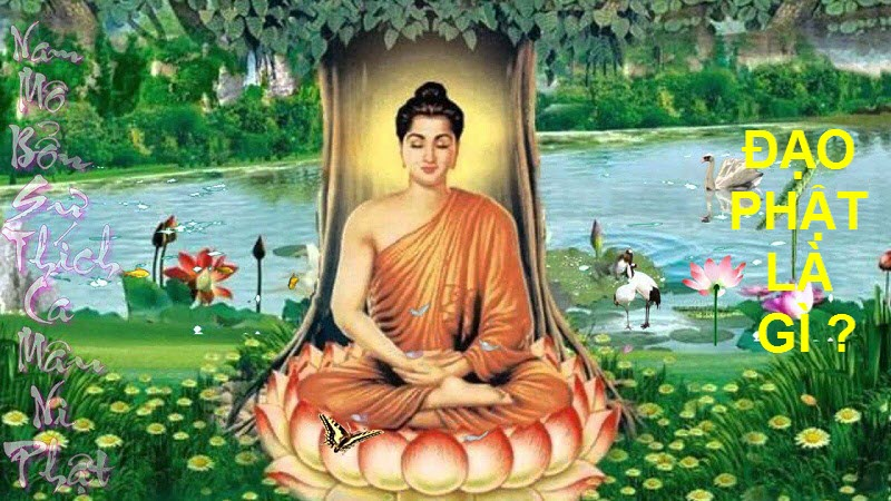 9 sai lầm nhiều người nghĩ sai về Đạo Phật 