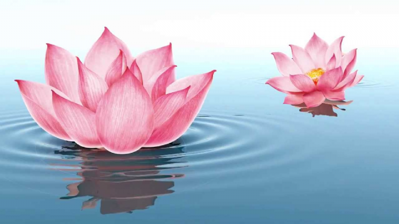 LÀM CHỦ CẢM XÚC VÀ NHỮNG MỐI BẤT HÒA