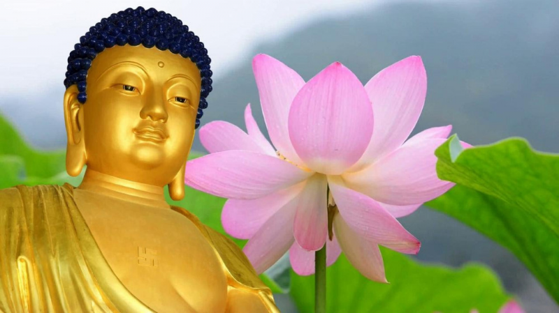 Lời phật dạy về luật nhân quả