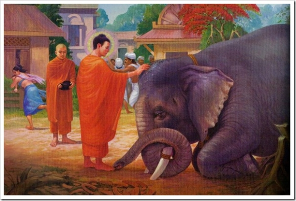 Lòng Từ Bi