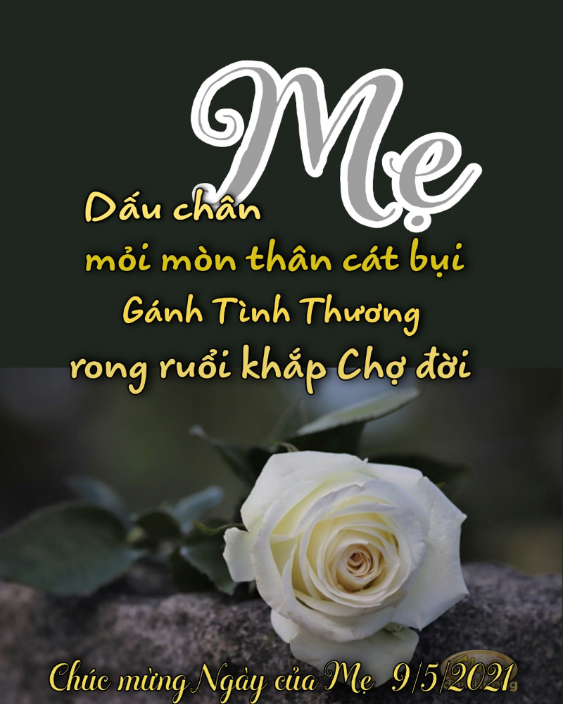Một Nắng Hai Sương