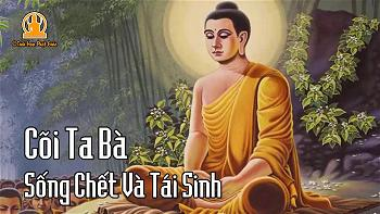 Nghiệp, Tái Sinh Và Đau Khổ
