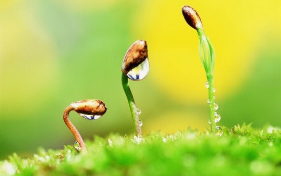 Những bài học hay!