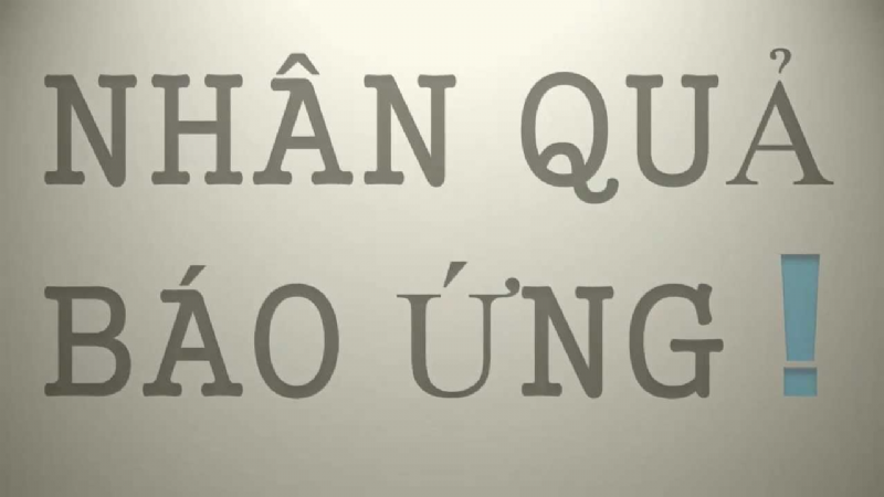 Tin nhân quả là người có trí tuệ
