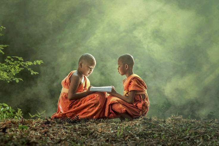 Tinh tấn, niệm, định, tuệ là pháp chưa từng có