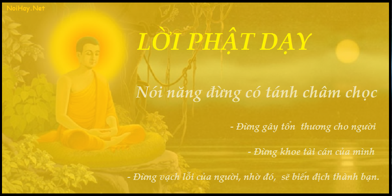 Ứng Dụng Theo Lời Dạy Của Phật, Xã Hội Sẽ Được Những Gì