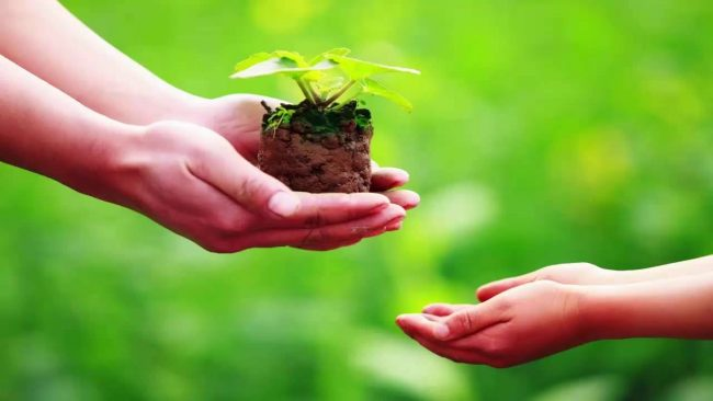 Vai trò của từ thiện trong Phật giáo