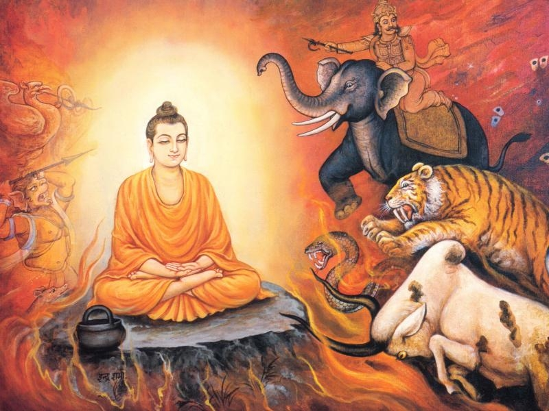 Vì Sao Tôi Theo Đạo Phật - Kỳ I